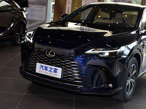 2026�� 300 ����������