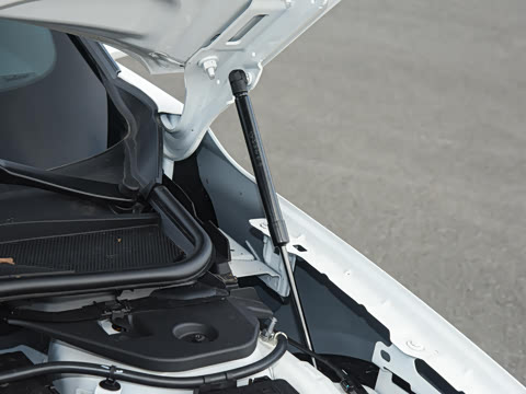 2026��  2.0T  EcoBoost  ������