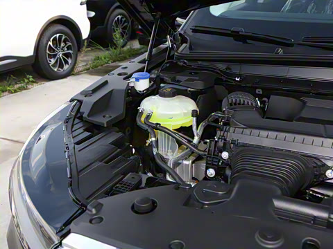 2025�� �Ŀ� 2.0T ����������