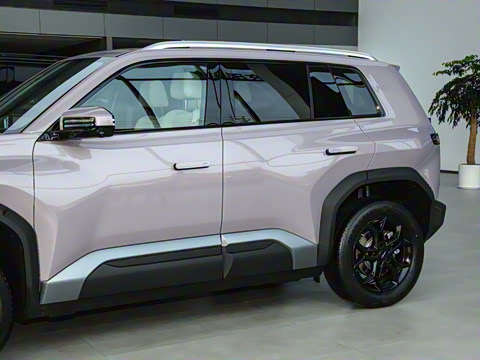 2025�� 501KM ����Max��