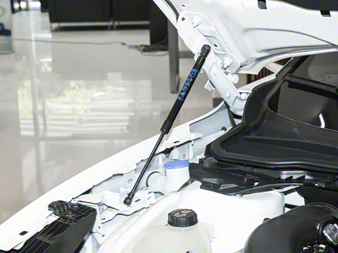 2025�� 2.0T EcoBoost ������