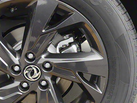 2025�� 518�����͹ھ���