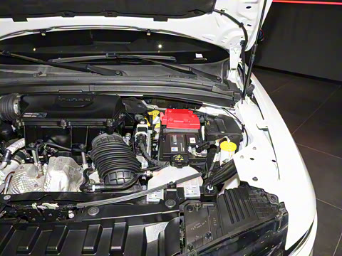 2024�� 2.0T 268HP AWD Veloce������