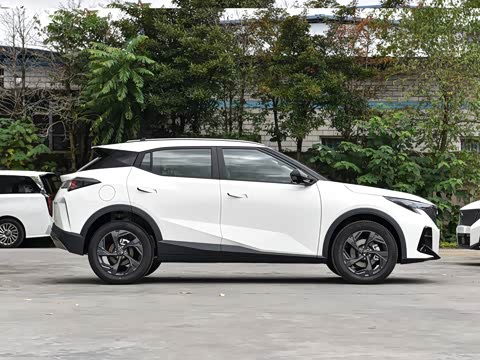 2026�� Ӱ�� 270T ������