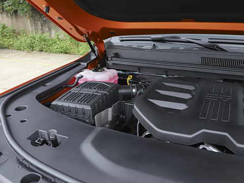 2025�� ��Ұ�� 6��