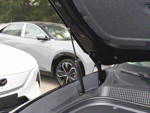 2025�� ����600 Pro