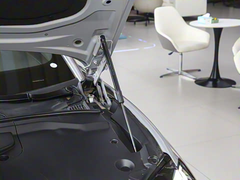 2024�� 600 Pro��ҫ��