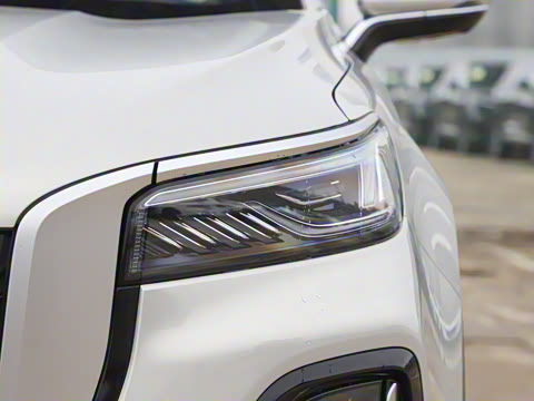 2026�� 2.0T ��������Pro��