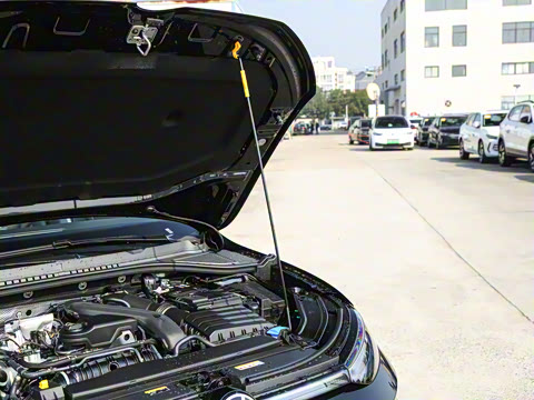 2026 Pro 300TSI ǿݰ