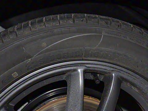 2025�� 555�Ǵ���