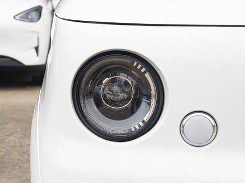 2025�� ������