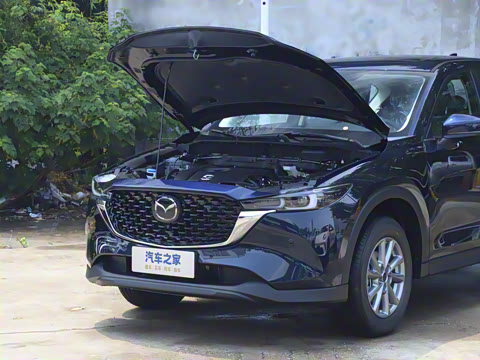 2025�� 2.0L �Զ���������Pro