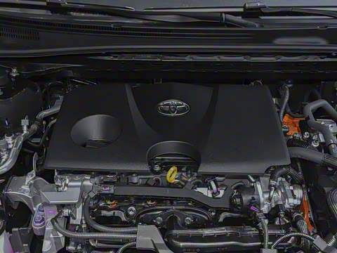 2026�� ˫�� 2.0HXS �˶�Plus��