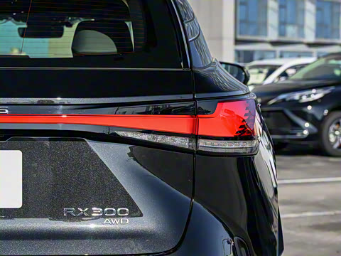 2026�� 300 ����������