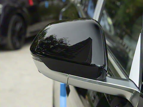 2025�� ���� Max+ ������������ 