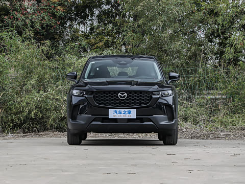 2026�� 2.5L ���а�