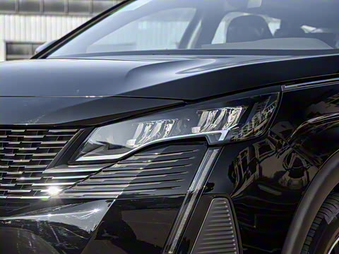 2025�� ������