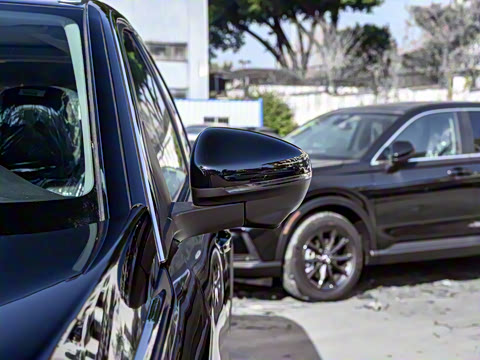 2025�� ������