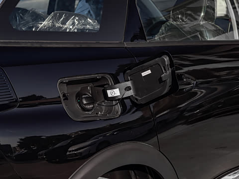 2025�� ������