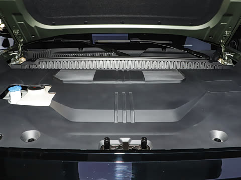 2025�� 520���������