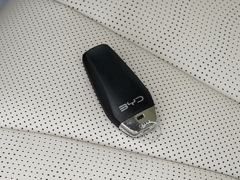2026�� DM-i 220�Ǻ���