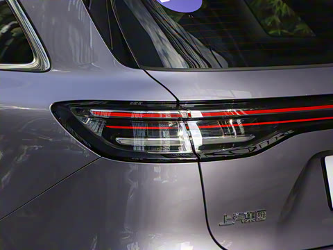 2025�� ���� Max