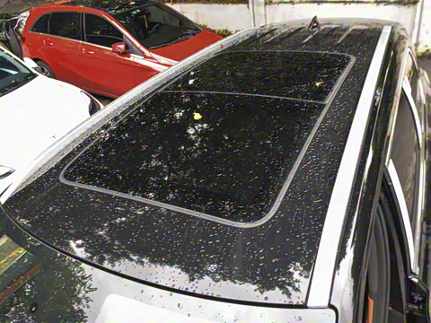 2025�� 180 ��������Max���� 6��