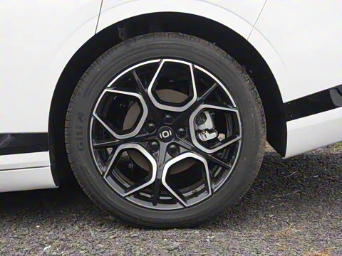 2026�� �����������̰� 310�콢��