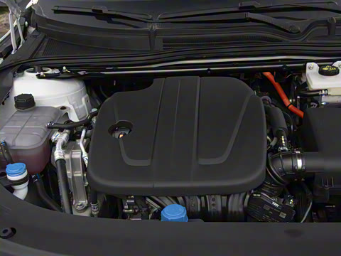 2026�� �����������̰� 310�콢��