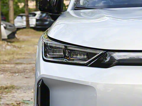 2026�� 650 ���װ�