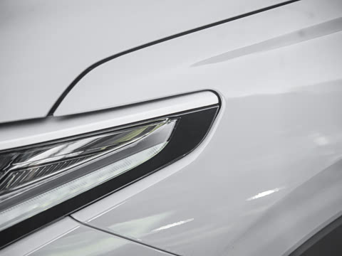 2025�� 100������Plus����