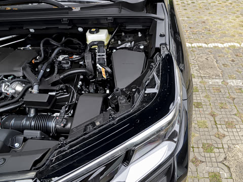 2026�� ˫�� 2.5L ����������