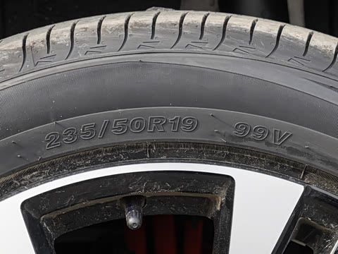 2026�� 225km ����