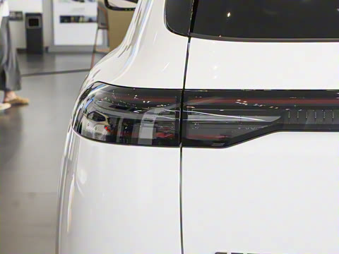 2025�� ���� 265 Max��������������ʻ