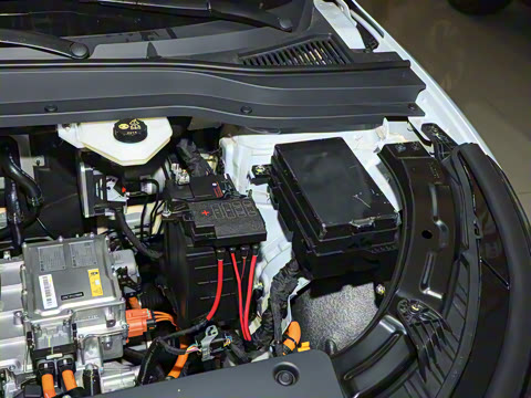 2025�� 565km ������