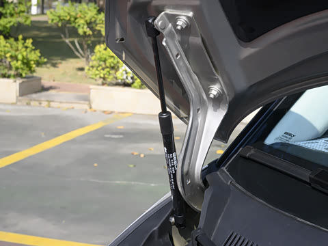 2026�� 1220����Max��