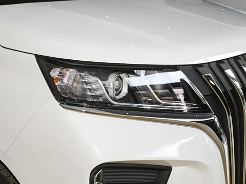 2025�� 2.0L �ֶ���������� 9��