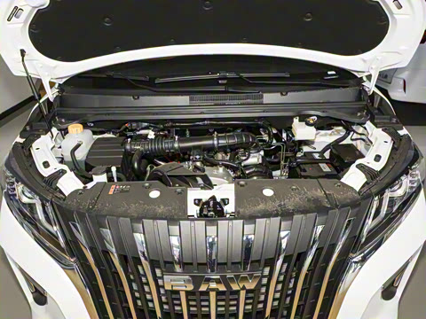 2025�� 2.0L �ֶ���������� 9��