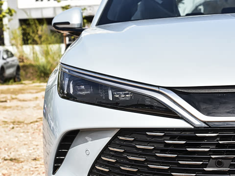 2026�� DM-i 210KM��Խ��