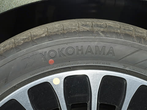 2025�� ���� Max