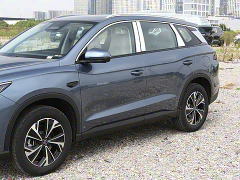 2026�� DM-i 133KM��Խ��