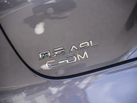 2025�� 260������������