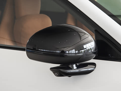 2025�� ������������Pro��