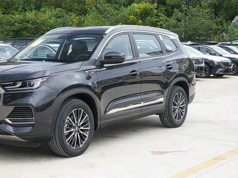 2025�� 290TGDI DCT����� 7��