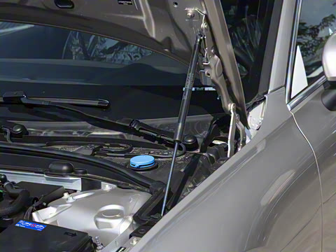 2026�� B4 ���ݺ�����