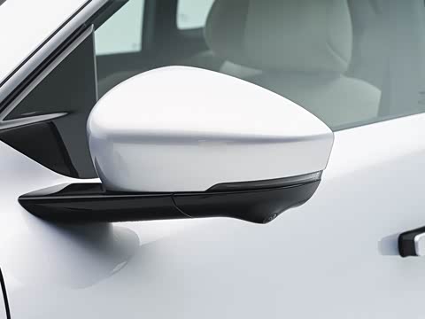 2026�� ���� 81kWh