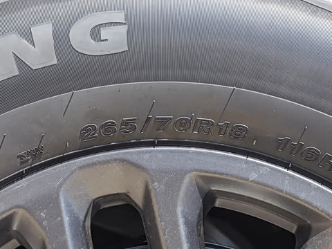 2025�� ̽Ұ�� 5��