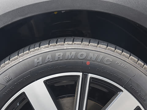 2026�� ����� ������