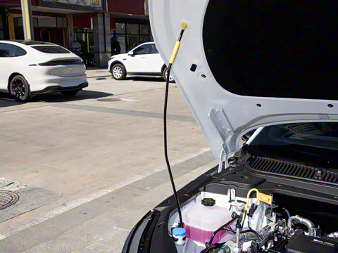 2026�� DM-i 210KM������