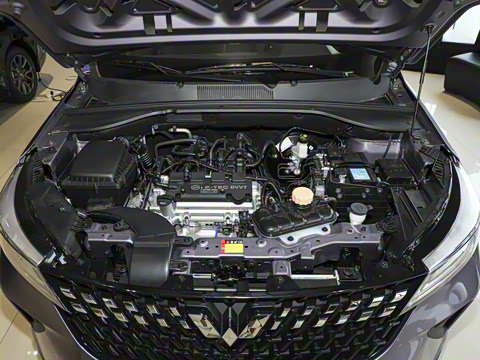 2026�� 1.5L �ֶ�������